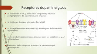 Receptores dopaminergicos
 se localizan en el SNC y en los vasos sanguíneos y neuronas
postganglionares del sistema nervioso simpático
 Se dividen en dos tipos principales: DA1 y DA2
 La dopamina estimula receptores α y β adrenergicos de forma dosis-
dependiente
 ueden producir vasoconstricción actuando sobre los receptores α1 y α2
postsinápticos
 El estímulo de los receptores β aumenta el inotropismo y el
cronotropismo
 