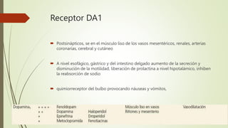 Receptor DA1
 Postsinápticos, se en el músculo liso de los vasos mesentéricos, renales, arterias
coronarias, cerebral y cutáneo
 A nivel esofágico, gástrico y del intestino delgado aumento de la secreción y
disminución de la motilidad, liberación de prolactina a nivel hipotalámico, inhiben
la reabsorción de sodio
 quimiorreceptor del bulbo provocando náuseas y vómitos,
 