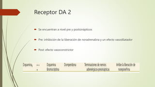 Receptor DA 2
 Se encuentran a nivel pre y postsinápticos
 Pre: inhibición de la liberación de noradrenalina y un efecto vasodilatador
 Post: efecto vasoconstrictor
 