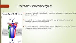 Receptores serotoninergicos
 receptores acoplado a proteínas G y inotrópico ubicados en el sistema nervioso
central y periférico.
 modulan la emociónes, el apetito, la cognición, el aprendizaje, la memoria, la
náusea, el sueño y la termorregulación
 los sistemas de fibras serotoninérgicas inhiben la transmisión en las vías dolorosa
de las astas dorsales de la médula espinal.
 