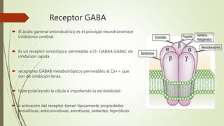 Receptor GABA
 El ácido gamma-aminobutírico es el principal neurotransmisor
inhibitorio cerebral
 Es un receptor ionotrópico permeable a Cl- GABAA GABAC de
inhibicion rapida
 receptores GABAB metabotrópicos permeables al Ca++ que
son de inhibición lenta.
 hiperpolarizando la célula e impidiendo la excitabilidad
 a activación del receptor tienen típicamente propiedades
ansiolíticas, anticonvulsivas, amnésicas, sedantes, hipnóticas
 