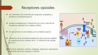 Receptores opioides
 son miembros de la familia de receptores acoplados a
proteína G (metabotropicos)
 produce analgesia por interacción con uno o más de los
receptores opioides (mu, kappa y delta)
 Se encuentran en el encéfalo y en la médula espinal
 inhibición de la actividad bioeléctrica de la neurona debido
a la apertura de los canales de K+. E inhibición de canales
de Ca++
 Provocan sedación, euforia, analgesia, depresión respiratoria
supresión de la tos náuseas y vómitos
 