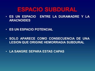ESPACIO SUBDURAL
• ES UN ESPACIO ENTRE LA DURAMADRE Y LA
ARACNOIDES
• ES UN ESPACIO POTENCIAL
• SOLO APARECE COMO CONSECUENCIA DE UNA
LESION QUE ORIGINE HEMORRAGIA SUBDURAL
• LA SANGRE SEPARA ESTAS CAPAS
 