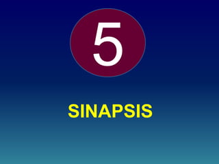 SINAPSIS
5
 