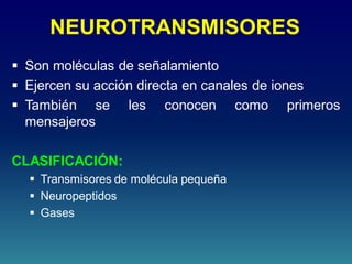 NEUROTRANSMISORES
 Son moléculas de señalamiento
 Ejercen su acción directa en canales de iones
 También se les conocen como primeros
mensajeros
CLASIFICACIÓN:
 Transmisores de molécula pequeña
 Neuropeptidos
 Gases
 
