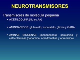 NEUROTRANSMISORES
Transmisores de molécula pequeña
 ACETILCOLINA (No es AA)
 AMINOACIDOS: glutamato, asparatato, glicina y GABA
 AMINAS BIOGENAS (monoaminas): serotonina y
catecolaminas (dopamina, noradrenalina y adrenalina)
 