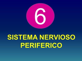 SISTEMA NERVIOSO
PERIFERICO
6
 