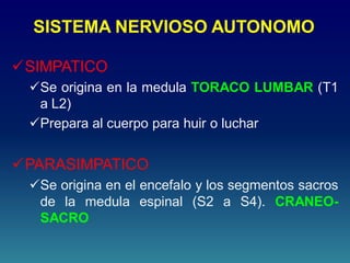 SISTEMA NERVIOSO AUTONOMO
SIMPATICO
Se origina en la medula TORACO LUMBAR (T1
a L2)
Prepara al cuerpo para huir o luchar
PARASIMPATICO
Se origina en el encefalo y los segmentos sacros
de la medula espinal (S2 a S4). CRANEO-
SACRO
 