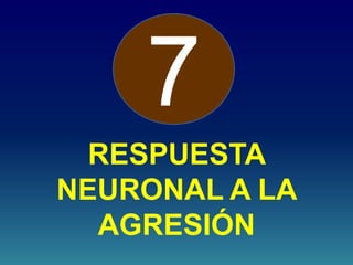 RESPUESTA
NEURONAL A LA
AGRESIÓN
7
 
