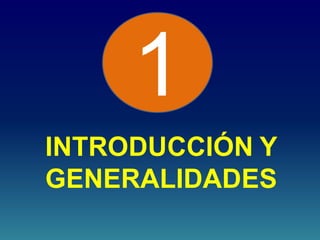 INTRODUCCIÓN Y
GENERALIDADES
1
 