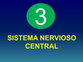 SISTEMA NERVIOSO
CENTRAL
3
 