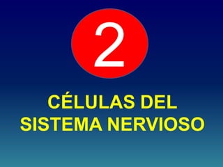 CÉLULAS DEL
SISTEMA NERVIOSO
2
 
