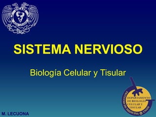 SISTEMA NERVIOSO
Biología Celular y Tisular
M. LECUONA
 