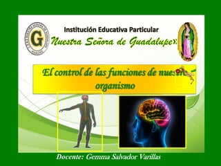 El control de las funciones de nuestro
organismo
Docente: Gemma Salvador Varillas
 