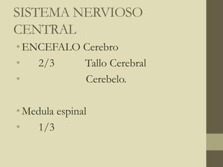 SISTEMA NERVIOSO
CENTRAL
•ENCEFALO Cerebro
• 2/3 Tallo Cerebral
• Cerebelo.
•Medula espinal
• 1/3
 