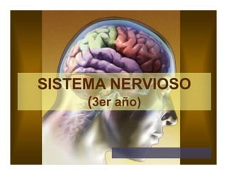 SISTEMA NERVIOSO
SISTEMA NERVIOSO
(
(3er año)
3er año)
SISTEMA NERVIOSO
SISTEMA NERVIOSO
(
(3er año)
3er año)
 