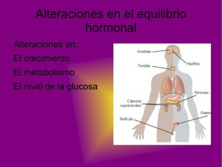 La neurona 