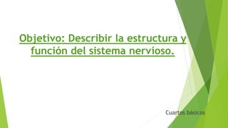 Cuartos básicos
Objetivo: Describir la estructura y
función del sistema nervioso.
 