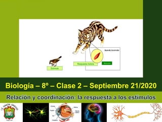 Biología – 8º – Clase 2 – Septiembre 21/2020
 