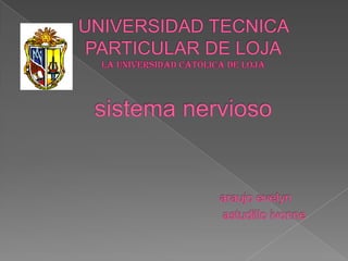 UNIVERSIDAD TECNICA PARTICULAR DE LOJALa Universidad Católica de Lojasistema nerviosoaraujoevelynastudilloivonne 