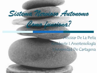 Sistema Nervioso AutonomoComo funciona? Ancizar De La Peña Residente I Anestesiología Universidad De Cartagena  