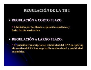 Sistema Nervioso Autonomo