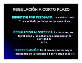 Sistema Nervioso Autonomo