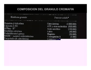 Sistema Nervioso Autonomo