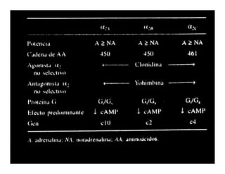 Sistema Nervioso Autonomo
