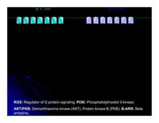 Sistema Nervioso Autonomo