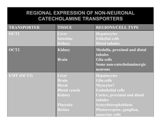 Sistema Nervioso Autonomo