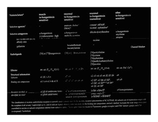 Sistema Nervioso Autonomo