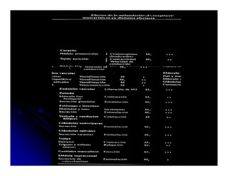 Sistema Nervioso Autonomo