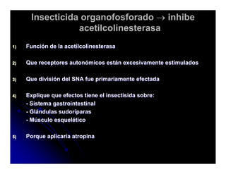 Sistema Nervioso Autonomo
