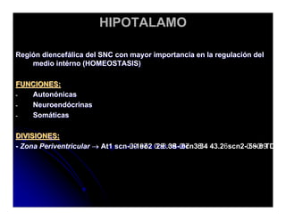 Sistema Nervioso Autonomo