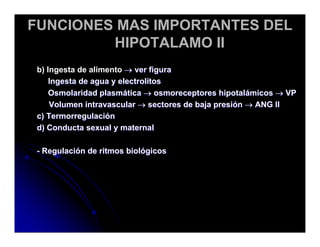 Sistema Nervioso Autonomo