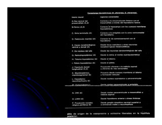 Sistema Nervioso Autonomo