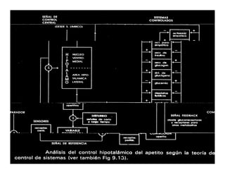 Sistema Nervioso Autonomo