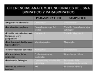 Sistema Nervioso Autonomo
