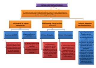 SISTEMA NERVIOSO AUTONOMO
Control neural de efectos
involuntarios
Neuronas del SNA
Las neuronas del sitema
nervioso periferico que
conducen impulsos desde
el sitema nervisos cental
se llaman neuronas
motoras o eferentes
Organos efectores
viscerales
La regulacion autonomica
desempeña funces en la
regulacion
endocrina,musculo
liso,corazon,circulacion y
todos los sitemas
restantes
Divisiones del sitema nervioso
autonomo
Division Simpatica
Se llama division
toracolumbar del SNA
porque sus fibras
preganglionares salen de
la medula espinal,desde
el primer nervio toracico
,hasta el segundo nivel
lumbar
Division Parasimpatica
Se conoce como division
craneosacra del SNA
debido a que sus fibras
preganglionares se
originan en el encefalo,en
el mesencefalo,la
protuberancia anular y el
bulbo raquideo
Funciones del sitema
nervioso autonomo
-Regula la función de los
órganos internos,
permitiendo la actividad
del organismo como un
todo.
-Es la vía eferente (motora)
que relaciona las áreas del
cerebro responsables de la
regulación del medio
interno con efectores
específicos.
-A diferencia de las fibras
eferentes de los músculos
esqueléticos, las del SNA
no alcanzan directamente
los órganos efectores, sino
que se proyectan hacia los
ganglios autónomos o
vegetativos que se
localizan fuera del SNC
El sistema nervioso autónomo es, sobre todo, un sistema eferente, es decir, transmite
impulsos nerviosos desde el sistema nervioso central hasta la periferia estimulando los
aparatos y sistemas orgánicos periféricos.
 