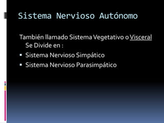Sistema Nervioso Autónomo
También llamado SistemaVegetativo oVisceral
Se Divide en :
 Sistema Nervioso Simpático
 Sistema Nervioso Parasimpático
 