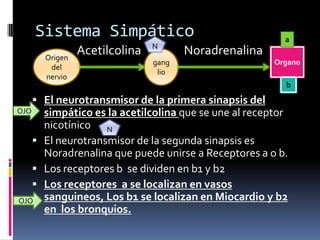 Sistema Simpático
Acetilcolina Noradrenalina
 El neurotransmisor de la primera sinapsis del
simpático es la acetilcolina que se une al receptor
nicotínico
 El neurotransmisor de la segunda sinapsis es
Noradrenalina que puede unirse a Receptores a o b.
 Los receptores b se dividen en b1 y b2
 Los receptores a se localizan en vasos
sanguineos, Los b1 se localizan en Miocardio y b2
en los bronquios.
Origen
del
nervio
gang
lio
Organo
b
a
N
N
OJO
OJO
 