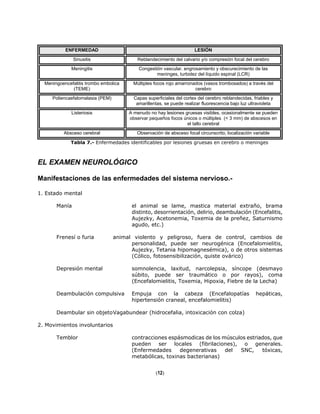 ENFERMEDAD LESIÓN
Sinusitis Reblandecimiento del calvario y/o compresión focal del cerebro
Meningitis Congestión vascular. engrosamiento y obscurecimiento de las
meninges, turbidez del líquido espinal (LCR)
Meningoencefalitis trombo embolica
(TEME)
Múltiples focos rojo amarronados (vasos trombosados) a través del
cerebro
Poliencaefalomalasia (PEM) Capas superficiales del cortex del cerebro reblandecidas, friables y
amarillentas, se puede realizar fluorescencia bajo luz ultravioleta
Listeriosis A menudo no hay lesiones gruesas visibles, ocasionalmente se pueden
observar pequeños focos únicos o múltiples (< 3 mm) de abscesos en
el tallo cerebral
Absceso cerebral Observación de absceso focal circunscrito, localización variable
Tabla 7.- Enfermedades identificables por lesiones gruesas en cerebro o meninges
EL EXAMEN NEUROLÓGICO
Manifestaciones de las enfermedades del sistema nervioso.-
1. Estado mental
Manía el animal se lame, mastica material extraño, brama
distinto, desorrientación, delirio, deambulación (Encefalitis,
Aujezky, Acetonemia, Toxemia de la preñez, Saturnismo
agudo, etc.)
Frenesí o furia animal violento y peligroso, fuera de control, cambios de
personalidad, puede ser neurogénica (Encefalomielitis,
Aujezky, Tetania hipomagnesémica), o de otros sistemas
(Cólico, fotosensibilización, quiste ovárico)
Depresión mental somnolencia, laxitud, narcolepsia, síncope (desmayo
súbito, puede ser traumático o por rayos), coma
(Encefalomielitis, Toxemia, Hipoxia, Fiebre de la Lecha)
Deambulación compulsiva Empuja con la cabeza (Encefalopatías hepáticas,
hipertensión craneal, encefalomielitis)
Deambular sin objetoVagabundear (hidrocefalia, intoxicación con colza)
2. Movimientos involuntarios
Temblor contracciones espásmodicas de los músculos estriados, que
pueden ser locales (fibrilaciones), o generales.
(Enfermedades degenerativas del SNC, tóxicas,
metabólicas, toxinas bacterianas)
(12)
 