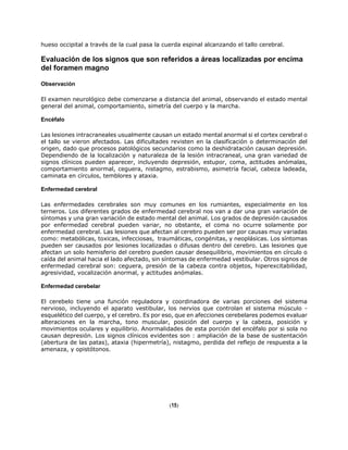 hueso occipital a través de la cual pasa la cuerda espinal alcanzando el tallo cerebral.
Evaluación de los signos que son referidos a áreas localizadas por encima
del foramen magno
Observación
El examen neurológico debe comenzarse a distancia del animal, observando el estado mental
general del animal, comportamiento, simetría del cuerpo y la marcha.
Encéfalo
Las lesiones intracraneales usualmente causan un estado mental anormal si el cortex cerebral o
el tallo se vieron afectados. Las dificultades revisten en la clasificación o determinación del
origen, dado que procesos patológicos secundarios como la deshidratación causan depresión.
Dependiendo de la localización y naturaleza de la lesión intracraneal, una gran variedad de
signos clínicos pueden aparecer, incluyendo depresión, estupor, coma, actitudes anómalas,
comportamiento anormal, ceguera, nistagmo, estrabismo, asimetría facial, cabeza ladeada,
caminata en círculos, temblores y ataxia.
Enfermedad cerebral
Las enfermedades cerebrales son muy comunes en los rumiantes, especialmente en los
terneros. Los diferentes grados de enfermedad cerebral nos van a dar una gran variación de
síntomas y una gran variación de estado mental del animal. Los grados de depresión causados
por enfermedad cerebral pueden variar, no obstante, el coma no ocurre solamente por
enfermedad cerebral. Las lesiones que afectan al cerebro pueden ser por causas muy variadas
como: metabólicas, toxicas, infecciosas, traumáticas, congénitas, y neoplásicas. Los síntomas
pueden ser causados por lesiones localizadas o difusas dentro del cerebro. Las lesiones que
afectan un solo hemisferio del cerebro pueden causar desequilibrio, movimientos en círculo o
caída del animal hacia el lado afectado, sin síntomas de enfermedad vestibular. Otros signos de
enfermedad cerebral son: ceguera, presión de la cabeza contra objetos, hiperexcitabilidad,
agresividad, vocalización anormal, y actitudes anómalas.
Enfermedad cerebelar
El cerebelo tiene una función reguladora y coordinadora de varias porciones del sistema
nervioso, incluyendo el aparato vestibular, los nervios que controlan el sistema músculo -
esquelético del cuerpo, y el cerebro. Es por eso, que en afecciones cerebelares podemos evaluar
alteraciones en la marcha, tono muscular, posición del cuerpo y la cabeza, posición y
movimientos oculares y equilibrio. Anormalidades de esta porción del encéfalo por si sola no
causan depresión. Los signos clínicos evidentes son : ampliación de la base de sustentación
(abertura de las patas), ataxia (hipermetría), nistagmo, perdida del reflejo de respuesta a la
amenaza, y opistótonos.
(15)
 