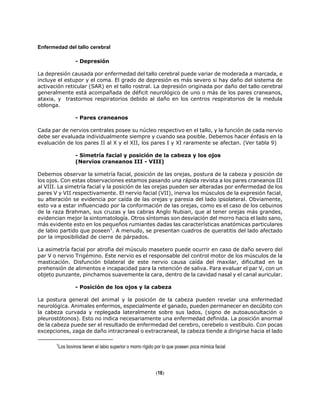 Enfermedad del tallo cerebral
- Depresión
La depresión causada por enfermedad del tallo cerebral puede variar de moderada a marcada, e
incluye el estupor y el coma. El grado de depresión es más severo si hay daño del sistema de
activación reticular (SAR) en el tallo rostral. La depresión originada por daño del tallo cerebral
generalmente está acompañada de déficit neurológico de uno o más de los pares craneanos,
ataxia, y trastornos respiratorios debido al daño en los centros respiratorios de la medula
oblonga.
- Pares craneanos
Cada par de nervios centrales posee su núcleo respectivo en el tallo, y la función de cada nervio
debe ser evaluada individualmente siempre y cuando sea posible. Debemos hacer énfasis en la
evaluación de los pares II al X y el XII, los pares I y XI raramente se afectan. (Ver tabla 9)
- Simetría facial y posición de la cabeza y los ojos
(Nervios craneanos III - VIII)
Debemos observar la simetría facial, posición de las orejas, postura de la cabeza y posición de
los ojos. Con estas observaciones estamos pasando una rápida revista a los pares craneanos III
al VIII. La simetría facial y la posición de las orejas pueden ser alteradas por enfermedad de los
pares V y VII respectivamente. El nervio facial (VII), inerva los músculos de la expresión facial,
su alteración se evidencia por caída de las orejas y paresia del lado ipsolateral. Obviamente,
esto va a estar influenciado por la conformación de las orejas, como es el caso de los cebuinos
de la raza Brahman, sus cruzas y las cabras Anglo Nubian, que al tener orejas más grandes,
evidencian mejor la sintomatología. Otros síntomas son desviación del morro hacia el lado sano,
más evidente esto en los pequeños rumiantes dadas las características anatómicas particulares
de labio partido que poseen1
. A menudo, se presentan cuadros de queratitis del lado afectado
por la imposibilidad de cierre de párpados.
La asimetría facial por atrofia del músculo masetero puede ocurrir en caso de daño severo del
par V o nervio Trigémino. Este nervio es el responsable del control motor de los músculos de la
masticación. Disfunción bilateral de este nervio causa caída del maxilar, dificultad en la
prehensión de alimentos e incapacidad para la retención de saliva. Para evaluar el par V, con un
objeto punzante, pinchamos suavemente la cara, dentro de la cavidad nasal y el canal auricular.
- Posición de los ojos y la cabeza
La postura general del animal y la posición de la cabeza pueden revelar una enfermedad
neurológica. Animales enfermos, especialmente el ganado, pueden permanecer en decúbito con
la cabeza curvada y replegada lateralmente sobre sus lados, (signo de autoauscultación o
pleurostótonos). Esto no indica necesariamente una enfermedad definida. La posición anormal
de la cabeza puede ser el resultado de enfermedad del cerebro, cerebelo o vestíbulo. Con pocas
excepciones, zaga de daño intracraneal o extracraneal, la cabeza tiende a dirigirse hacia el lado
1Los bovinos tienen el labio superior o morro rígido por lo que poseen poca mímica facial
(16)
 
