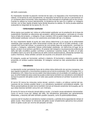 del daño ocasionado.
Es importante recordar la posición normal de los ojos y la respuesta a los movimientos de la
cabeza. Si forzamos la nariz dorsalmente, la respuesta normal de los ojos es a permanecer en
un constante plano horizontal. Esta respuesta es más marcada en el ganado que en los ovinos.
Cuando la cabeza se mueve lateralmente, la tendencia de los ojos es a realizar un nistagmo
normal, con la fase rápida dirigida hacia donde llevamos la cabeza. En dicha prueba estamos
evaluando la integridad de los pares III, IV y VI.
- Enfermedad vestibular
Otros signos que pueden ser vistos en enfermedad vestibular son la ampliación de la base de
sustentación (también en afecciones del cerebelo), déficit propioceptivo, caminata en círculos
hacia el lado de la lesión, y nistagmo. El par craneano VIII es parte integral del vestíbulo, y la
enfermedad vestibular concurre con posiciones anormales del ojo y la cabeza.
Es muy importante desde el punto de vista clínico determinar si la causa de la enfermedad
vestibular esta causada por daño intracraneal (núcleo del par VIII en el tallo cerebral), o par
craneal VIII fuera del cráneo. La presencia de una amplia base de sustentación, caminata en
círculos y nistagmo, solamente indican enfermedad vestibular, sin definirnos el lugar de la
lesión, es decir si es central o periférico. El carácter del nistagmo y la presencia de evidencia de
daño del tallo encefálico pueden contribuir a esclarecer nuestras dudas. El daño en el tallo
encefálico dará una serie de evidencias de daño central esclarecedoras, afectando también los
cuatro miembros. Estas señales variarán de acuerdo a la ubicación de la lesión.
El nistagmo, puede ser horizontal, vertical o rotatorio. El horizontal y rotatorio pueden estar
presentes en ambos cuadros lesionales. El nistagmo vertical es más característico de daño
central.
- Estrabismo
La desviación ocular persistente fuera de la orbita indica disfunción de nervios craneanos. Los
que regulan la posición y movimientos oculares son el nervio oculomotor (III), el troclear (IV), y
el abducens (VI). Estos tres nervios están interrelacionados con el cerebelo y el vestíbulo, por lo
que, la enfermedad de estos sistemas puede evidenciarse también con estrabismo ventrolateral
aunque la posición del globo ocular en este caso puede cambiarse al cambiar la posición de la
cabeza.
El nervio III inerva los músculos rectos dorsal, ventral y medio y el oblicuo ventral del ojo.
Lesiones de los núcleos pueden llevar a un estrabismo ipsolateral ventrolateral estable. Las
fibras parasimpáticas de este nervio también inervan al músculo constrictor de la pupila, por lo
que estas lesiones también concurren con midriasis.
El nervio IV inerva el músculo dorsal oblicuo ocular, y la lesión causa estrabismo dorsomedial.
Como el nervio cruza por debajo del tallo, los estrabismos generados son generalmente
bilaterales, y lesiones del tallo también pueden causarlo, como la poliencefalomalasia.
Lesiones del VI resultan en estrabismo medial constante, y pérdida de la capacidad de retraer el
globo ocular. Para testear la retracción del globo ocular simplemente aplicamos leve presión
sobre el globo ocular por encima del párpado cerrado.
(17)
 