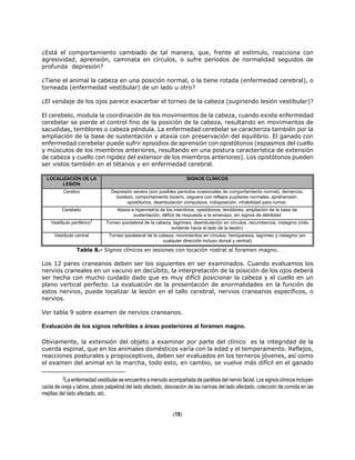 ¿Está el comportamiento cambiado de tal manera, que, frente al estímulo, reacciona con
agresividad, aprensión, caminata en círculos, o sufre períodos de normalidad seguidos de
profunda depresión?
¿Tiene el animal la cabeza en una posición normal, o la tiene rotada (enfermedad cerebral), o
torneada (enfermedad vestibular) de un lado u otro?
¿El vendaje de los ojos parece exacerbar el torneo de la cabeza (sugiriendo lesión vestibular)?
El cerebelo, modula la coordinación de los movimientos de la cabeza, cuando existe enfermedad
cerebelar se pierde el control fino de la posición de la cabeza, resultando en movimientos de
sacudidas, temblores o cabeza péndula. La enfermedad cerebelar se caracteriza también por la
ampliación de la base de sustentación y ataxia con preservación del equilibrio. El ganado con
enfermedad cerebelar puede sufrir episodios de aprensión con opistótonos (espasmos del cuello
y músculos de los miembros anteriores, resultando en una postura característica de extensión
de cabeza y cuello con rigidez del extensor de los miembros anteriores). Los opistótonos pueden
ser vistos también en el tétanos y en enfermedad cerebral.
LOCALIZACIÓN DE LA
LESIÓN
SIGNOS CLÍNICOS
Cerebro Depresión severa (son posibles períodos ocasionales de comportamiento normal), demencia,
bostezo, comportamiento bizarro, ceguera con reflejos pupilares normales, aprehensión,
opistótonos, deambulación compulsiva, indisposición, inhabilidad para rumiar.
Cerebelo Ataxia e hipermetría de los miembros, opistótonos, temblores, ampliación de la base de
sustentación, déficit de respuesta a la amenaza, sin signos de debilidad
Vestíbulo periférico
2
Torneo ipsolateral de la cabeza, lagrimeo, deambulación en círculos, recumbencia, nistagmo (más
evidente hacia el lado de la lesión)
Vestíbulo central Torneo ipsolateral de la cabeza, movimientos en círculos, hemiparesia, lagrimeo y nistagmo (en
cualquier dirección incluso dorsal y ventral)
Tabla 8.- Signos clínicos en lesiones con locación rostral al foramen magno.
Los 12 pares craneanos deben ser los siguientes en ser examinados. Cuando evaluamos los
nervios craneales en un vacuno en decúbito, la interpretación de la posición de los ojos deberá
ser hecha con mucho cuidado dado que es muy difícil posicionar la cabeza y el cuello en un
plano vertical perfecto. La evaluación de la presentación de anormalidades en la función de
estos nervios, puede localizar la lesión en el tallo cerebral, nervios craneanos específicos, o
nervios.
Ver tabla 9 sobre examen de nervios craneanos.
Evaluación de los signos referibles a áreas posteriores al foramen magno.
Obviamente, la extensión del objeto a examinar por parte del clínico es la integridad de la
cuerda espinal, que en los animales domésticos varía con la edad y el temperamento. Reflejos,
reacciones posturales y propioceptivos, deben ser evaluados en los terneros jóvenes, así como
el examen del animal en la marcha, todo esto, en cambio, se vuelve más difícil en el ganado
2La enfermedad vestibular se encuentra a menudo acompañada de parálisis del nervio facial. Los signos clínicos incluyen
caída de oreja y labios, ptosis palpebral del lado afectado, desviación de las narinas del lado afectado, colección de comida en las
mejillas del lado afectado, etc.
(19)
 