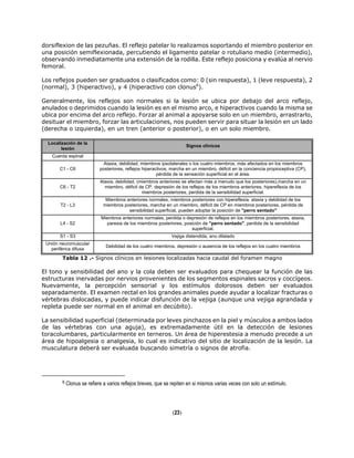 dorsiflexion de las pezuñas. El reflejo patelar lo realizamos soportando el miembro posterior en
una posición semiflexionada, percutiendo el ligamento patelar o rotuliano medio (intermedio),
observando inmediatamente una extensión de la rodilla. Este reflejo posiciona y evalúa al nervio
femoral.
Los reflejos pueden ser graduados o clasificados como: 0 (sin respuesta), 1 (leve respuesta), 2
(normal), 3 (hiperactivo), y 4 (hiperactivo con clonus6
).
Generalmente, los reflejos son normales si la lesión se ubica por debajo del arco reflejo,
anulados o deprimidos cuando la lesión es en el mismo arco, e hiperactivos cuando la misma se
ubica por encima del arco reflejo. Forzar al animal a apoyarse solo en un miembro, arrastrarlo,
desituar el miembro, forzar las articulaciones, nos pueden servir para situar la lesión en un lado
(derecha o izquierda), en un tren (anterior o posterior), o en un solo miembro.
Localización de la
lesión
Signos clínicos
Cuerda espinal
C1 - C6
Ataxia, debilidad, miembros ipsolaterales o los cuatro miembros, más afectados en los miembros
posteriores, reflejos hiperactivos, marcha en un miembro, déficit en la conciencia propioceptiva (CP),
pérdida de la sensación superficial en el área.
C6 - T2
Ataxia, debilidad, (miembros anteriores se afectan más a menudo que los posteriores),marcha en un
miembro, déficit de CP, depresión de los reflejos de los miembros anteriores, hipereflexia de los
miembros posteriores, perdida de la sensibilidad superficial.
T2 - L3
Miembros anteriores normales, miembros posteriores con hipereflexia, ataxia y debilidad de los
miembros posteriores, marcha en un miembro, déficit de CP en miembros posteriores, pérdida de
sensibilidad superficial, pueden adoptar la posición de "perro sentado"
L4 - S2
Miembros anteriores normales, perdida o depresión de reflejos en los miembros posteriores, ataxia,
paresia de los miembros posteriores, posición de "perro sentado", perdida de la sensibilidad
superficial.
S1 - S3 Vejiga distendida, ano dilatado
Unión neuromuscular
periférica difusa
Debilidad de los cuatro miembros, depresión o ausencia de los reflejos en los cuatro miembros
Tabla 12 .- Signos clínicos en lesiones localizadas hacia caudal del foramen magno
El tono y sensibilidad del ano y la cola deben ser evaluados para chequear la función de las
estructuras inervadas por nervios provenientes de los segmentos espinales sacros y coccígeos.
Nuevamente, la percepción sensorial y los estímulos dolorosos deben ser evaluados
separadamente. El examen rectal en los grandes animales puede ayudar a localizar fracturas o
vértebras dislocadas, y puede indicar disfunción de la vejiga (aunque una vejiga agrandada y
repleta puede ser normal en el animal en decúbito).
La sensibilidad superficial (determinada por leves pinchazos en la piel y músculos a ambos lados
de las vértebras con una aguja), es extremadamente útil en la detección de lesiones
toracolumbares, particularmente en terneros. Un área de hiperestesia a menudo precede a un
área de hipoalgesia o analgesia, lo cual es indicativo del sitio de localización de la lesión. La
musculatura deberá ser evaluada buscando simetría o signos de atrofia.
6 Clonus se refiere a varios reflejos breves, que se repiten en si mismos varias veces con solo un estímulo.
(23)
 