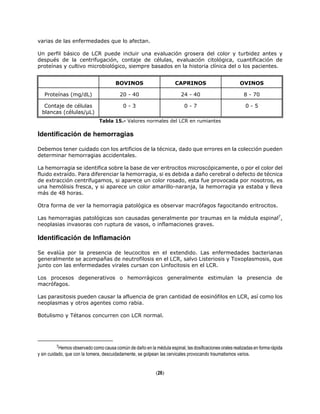 varias de las enfermedades que lo afectan.
Un perfil básico de LCR puede incluir una evaluación grosera del color y turbidez antes y
después de la centrifugación, contaje de células, evaluación citológica, cuantificación de
proteínas y cultivo microbiológico, siempre basados en la historia clínica del o los pacientes.
BOVINOS CAPRINOS OVINOS
Proteínas (mg/dL) 20 - 40 24 - 40 8 - 70
Contaje de células
blancas (células/µL)
0 - 3 0 - 7 0 - 5
Tabla 15.- Valores normales del LCR en rumiantes
Identificación de hemorragias
Debemos tener cuidado con los artificios de la técnica, dado que errores en la colección pueden
determinar hemorragias accidentales.
La hemorragia se identifica sobre la base de ver eritrocitos microscópicamente, o por el color del
fluido extraído. Para diferenciar la hemorragia, si es debida a daño cerebral o defecto de técnica
de extracción centrifugamos, si aparece un color rosado, esta fue provocada por nosotros, es
una hemólisis fresca, y si aparece un color amarillo-naranja, la hemorragia ya estaba y lleva
más de 48 horas.
Otra forma de ver la hemorragia patológica es observar macrófagos fagocitando eritrocitos.
Las hemorragias patológicas son causadas generalmente por traumas en la médula espinal7
,
neoplasias invasoras con ruptura de vasos, o inflamaciones graves.
Identificación de Inflamación
Se evalúa por la presencia de leucocitos en el extendido. Las enfermedades bacterianas
generalmente se acompañas de neutrofilosis en el LCR, salvo Listeriosis y Toxoplasmosis, que
junto con las enfermedades virales cursan con Linfocitosis en el LCR.
Los procesos degenerativos o hemorrágicos generalmente estimulan la presencia de
macrófagos.
Las parasitosis pueden causar la afluencia de gran cantidad de eosinófilos en LCR, así como los
neoplasmas y otros agentes como rabia.
Botulismo y Tétanos concurren con LCR normal.
7Hemos observado como causa común de daño en la médula espinal, las dosificaciones orales realizadas en forma rápida
y sin cuidado, que con la tomera, descuidadamente, se golpean las cervicales provocando traumatismos varios.
(26)
 