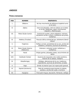 ANEXOS
Pares craneanos
PAR NOMBRE RESPUESTA
I Olfatorio No hay movimiento de defensa al soplarle humo
en la nariz
II Optico Cierre de párpados, retira la cabeza con el dedo
en el ojo, obstáculos, seguir movimientos
(algodón), oftalmoscopía
III Motor Ocular Común Contracción pupilar, ptosis palpebral, midriasis,
estrabismo arriba y afuera, exoftalmos del jersey,
buftalmus
IV Patético (Troclear) Musculo oblicuo dorsal del ojo, estrabismo lateral
inferior
V Trigémino Reflejo corneal, sensibilidad de la cara, atrofia del
masetero y temporal, acúmulo de alimentos
VI Motor Ocular Externo
(Abducens)
Extensor y retractor ocular, buftalmus y
exoftalmus
VII Facial Orejas gachas, párpados caídos, escurrimiento de
saliva
VIII Vestibular Coclear Ausencia de respuesta a los ruidos (sordera),
rotación de la cabeza, nistagmo
IX Glosofaringeo Disfagia, alteraciones de la voz, trastornos
respiratorios, acumulo de alimentos, arcadas
X Vago Similar al anterior pero con repercusión general
XI Espinal (Accesorio) Falta de resistencia para levantar la cabeza,
parálsis y atrofia del cuello y hombros
XII Hipogloso Protrusión lingual, desviación, fibrilación, disfagia
(31)
 
